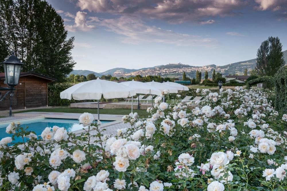 Il Fienile Di Assisi Villa Bagian luar foto