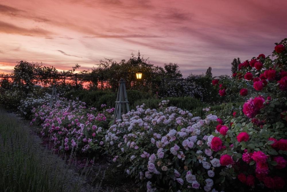 Il Fienile Di Assisi Villa Bagian luar foto