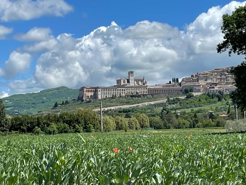 Il Fienile Di Assisi Villa Bagian luar foto