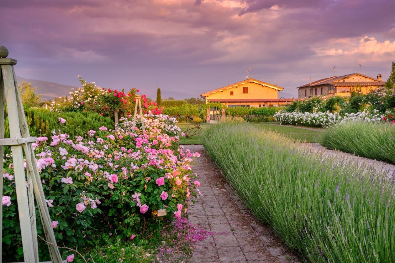 Il Fienile Di Assisi Villa Bagian luar foto