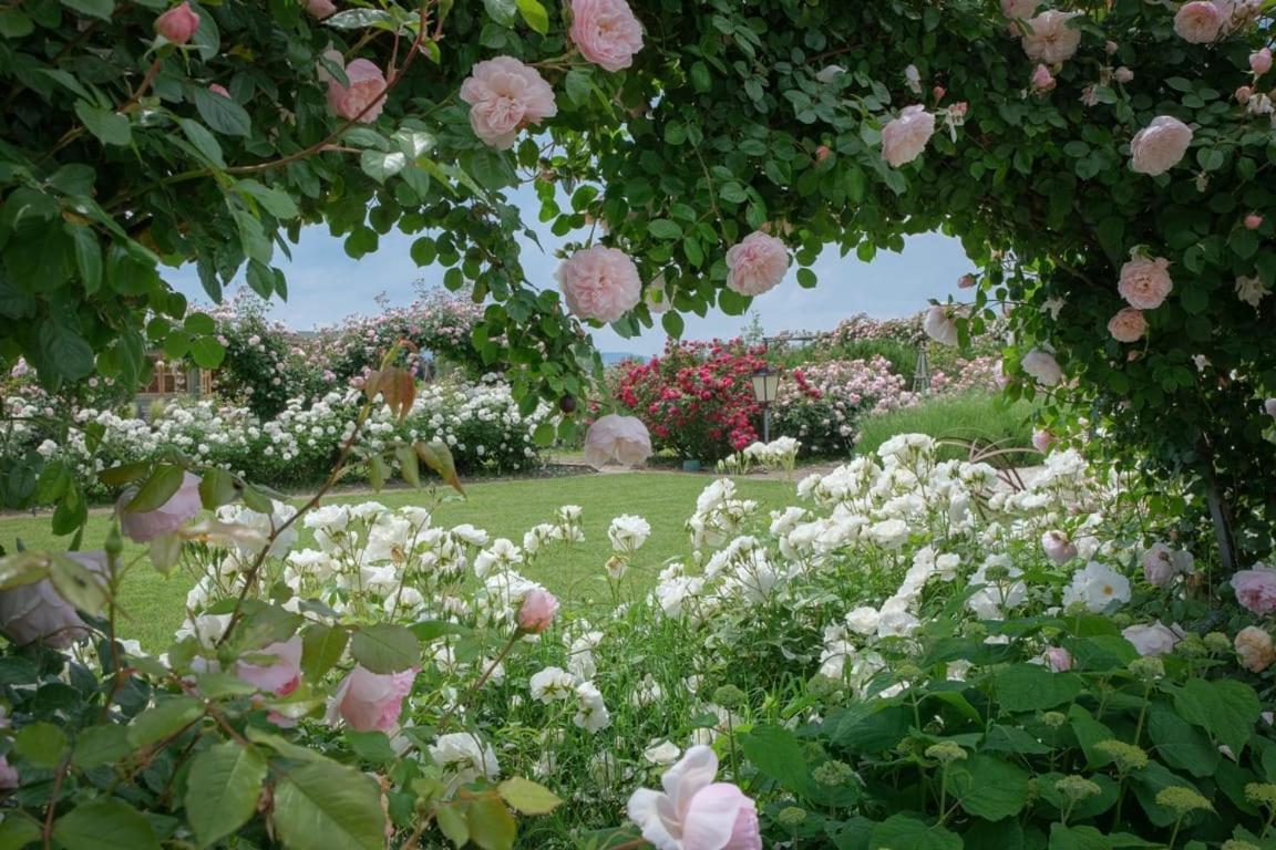 Il Fienile Di Assisi Villa Bagian luar foto