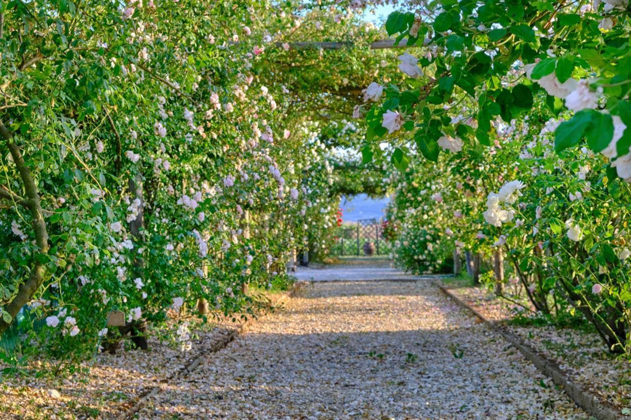 Il Fienile Di Assisi Villa Bagian luar foto