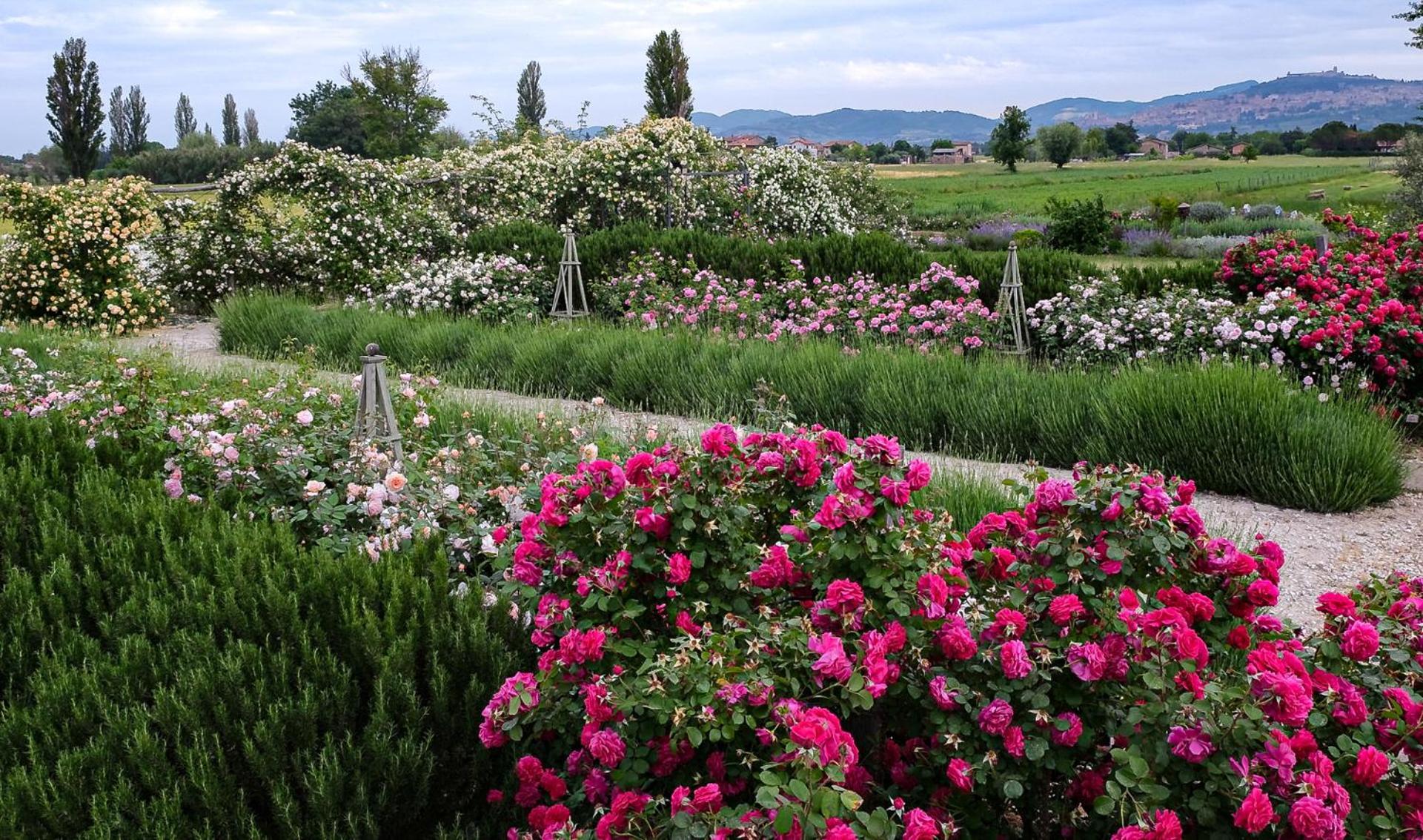 Il Fienile Di Assisi Villa Bagian luar foto
