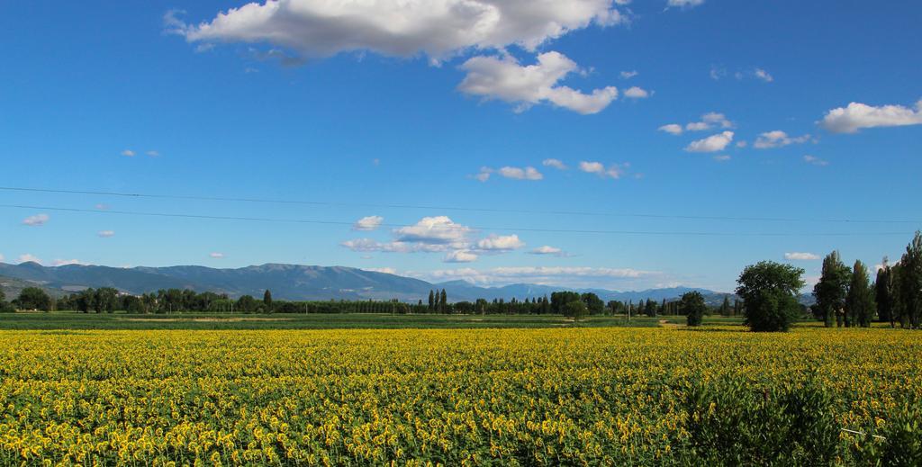 Il Fienile Di Assisi Villa Bagian luar foto
