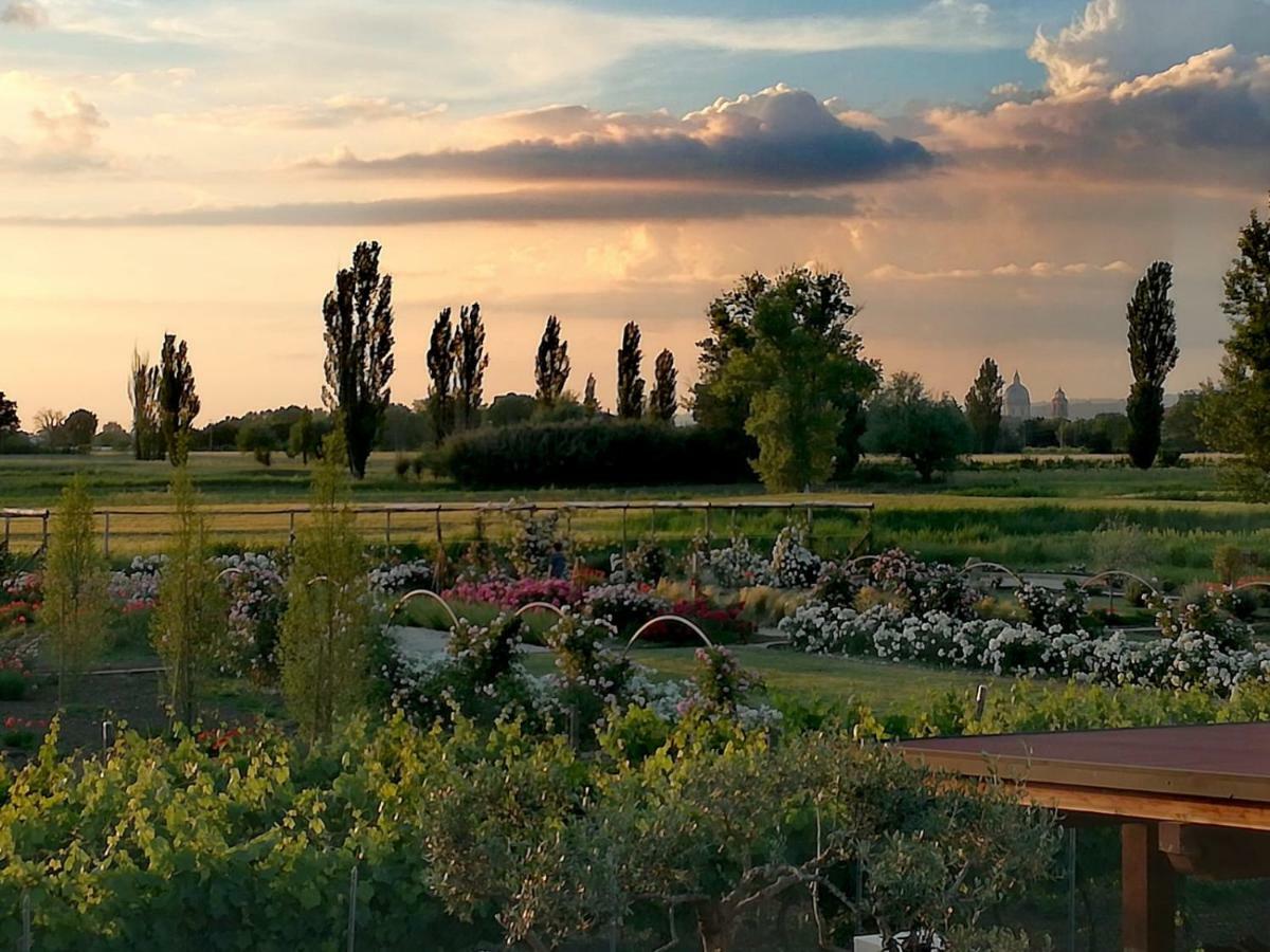 Il Fienile Di Assisi Villa Bagian luar foto