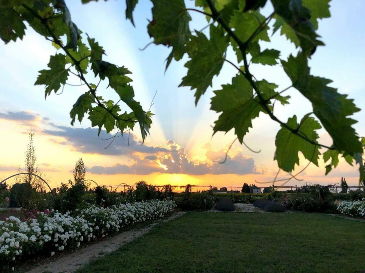Il Fienile Di Assisi Villa Bagian luar foto